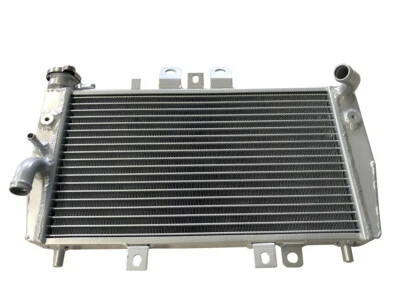 For Triumph Speed Triple 955i 2002 2003 Aluminum Racing Radiator  - Image 1 of 4