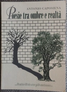 POESIE_Poesie tra ombre e realtà - Antonio Caposiena - Foto 1 di 1