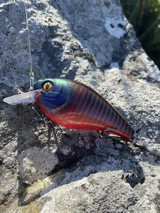 Custom Painted Crankbait 4" Squarebill Magnum HELL-GILL Trapper Haken - Bild 1 von 11