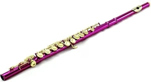 NUEVA Flauta Pie C Rosa Caliente Aprobada por Banda/Llaves Doradas/Estuches Duros y Blandos (Mancha) - Imagen 1 de 2