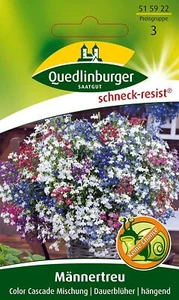 Quedlinburger Männertreu Color Cascade Mischung Saatgut 515922 - Bild 1 von 2