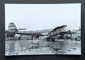 original vintage Foto PANAIR DO BRASIL L-149 CONSTELLATION PP-PDP • 11x16cm - Bild 1 von 2