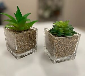 Set Of 2 Mini Faux Succulents Glass Pots Artificial Plants Home Or Office Decor