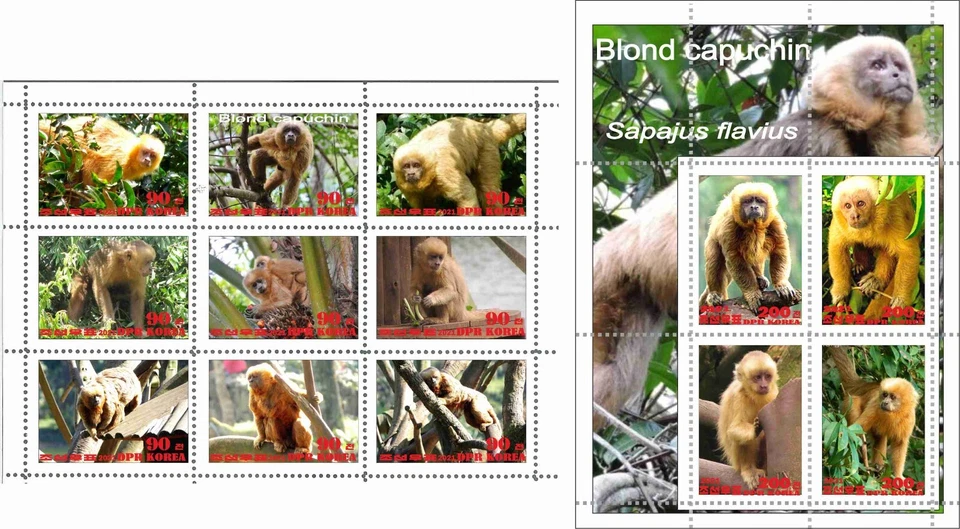 Hoja de sellos + bloque Rubio Capuchino 2021 Edición Corea Monos Naturaleza Foto 1 de 1