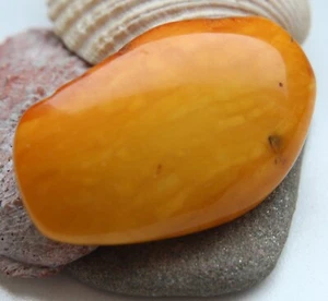 Vintage Amber Baltic Butterscotch Egg Yolk Brooch 13.2 gram 波羅的海琥珀 - Picture 1 of 8