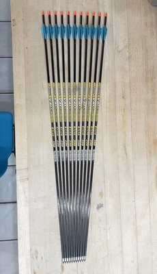 "Victory Archery VAP Elite 65-70 V1 350 columna vertebral 28,625"" - 11 flechas usadas" Foto 1 de 4