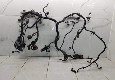 *Enchufe roto* Land Rover Discovery Sport 2016 2,0 L motor arnés de cableado #008169 Foto 1 de 4