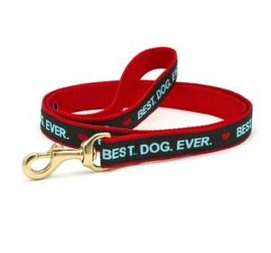 UP COUNTRY Nylon & Webbing Dog Lead. BEST DOG EVER. Solid Brass Clip. 4 foot. - Picture 1 of 2