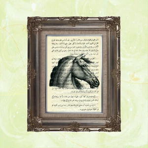 Book Page Art Print: Horse on Vintage Arabic Text - Picture 1 of 2