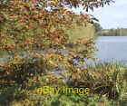 Photo 6X4 Autumnal Alton Water Tattingstone  C2007