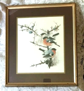 Framed & Glazed Vintage Offset Lithograph Print Bullfinch Signed Chad Stose - Picture 1 of 9
