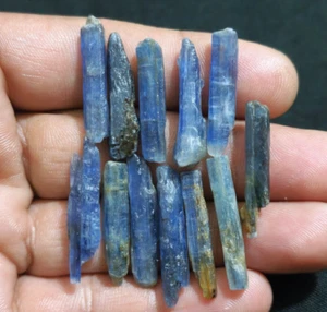 Increíble lote de 12 piezas de cianita azul cruda tamaño 25-30 mm cianita áspera piedra preciosa suelta - Imagen 1 de 8
