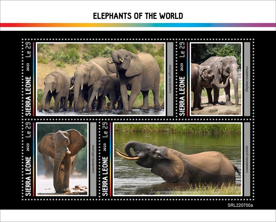 Elephants of the World MNH Stamps 2023 Sierra Leone M/S - Image 1 of 1