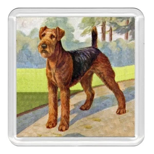 Airedale Terrier Hund Acryl Untersetzer Neuheit Trinkbecher Matte tolles Geschenk - Bild 1 von 1