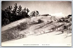 Ludington-Muskegon? Área~Decoración de Naturaleza~Dunas de Arena~Borde del Bosque~CR Niños - Imagen 1 de 2