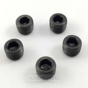 5pcs 1/8"NPT Black Internal Thread Socket Pipe Plug - Afbeelding 1 van 1
