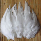 Wholesale 50-2000PCS 4-6 inches Beautiful Rooster Tail Feathers diy