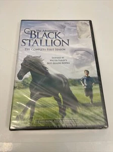 The Adventures of the Black Stallion Complete First Season DVD 2008 - Picture 1 of 7