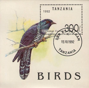 Tanzania - Birds - European Cuckoo (Cancelled) - Picture 1 of 1