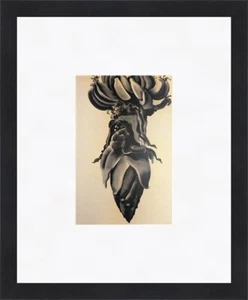Georgia O'keeffe - Banana Plant No.4 Custom Framed Print   - Picture 1 of 2