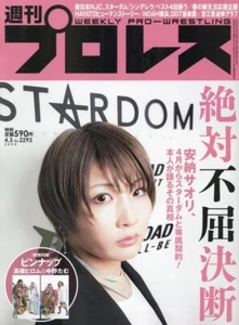 Weekly Pro Wrestling 4/3/2024 No. 2293 STARDOM w/ Pinup Japanese Magazine Used - Picture 1 of 1