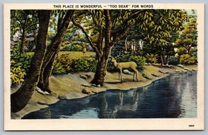 Postcard This Place Is Wounderful Too Dear For Words Deer At Riverbed Buck Linen - Picture 1 of 2