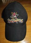 Twins The Simpsons Springfield Isotopes (One Size) Cap Homer Bart