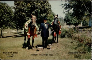 Caballos Campeón Oklahoma 1954 Gitano y Ministro de Medianoche Goodlettsville TN PC - Imagen 1 de 2