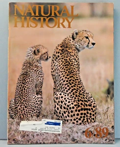 Natural History Magazine June 1989 Cheetah Cover / Northern Dinosaurs - Picture 1 of 4