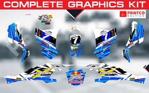 Can-am DS 450 DS450 complete graphics kit 21 mil - Picture 1 of 9
