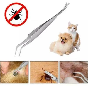 #Hund #Katze Pferd Zecken Haken Entferner Greifer Zecken Pinzette Zecken Zange - Bild 1 von 6