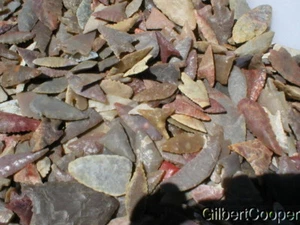 100 PUNTOS TRIANGULARES NEOLÍTICOS COLORIDOS - Imagen 1 de 2