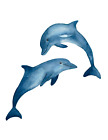 Riesiger Xxxl Autoaufkleber Sticker Delfin Aufkleber