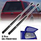 2pcs Rear Glass Window Lift Supports Struts PM2019EX for Ford Excursion 00-05