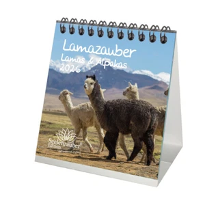 Lamazauber Tischkalender 10cm x 10cm für 2026 Lama Alpaka - Seelenzauber - Bild 1 von 1