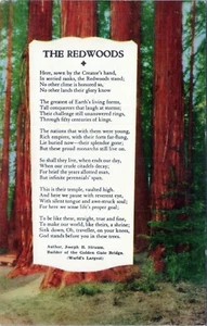 Poem at the Red Woods By Joseph B. Strauss Postcard Unposted - Picture 1 of 2