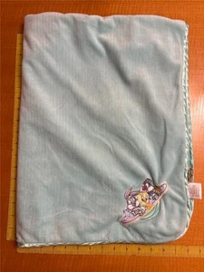 baby Looney Tunes Tweety Bird Taz Bugs Bunny Aqua Crib Blanket Satin Trim - Picture 1 of 4