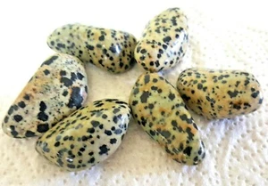 4 Dalmatian Jasper Natural 15-25mm Gem stones Tumble Tourmaline Healing Chakra - Picture 1 of 2