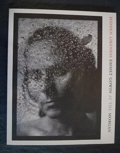 Hidden Likeness : Photographer Emmet Gowin at the Morgan by Emmet Gowin (2015) - Imagen 1 de 8