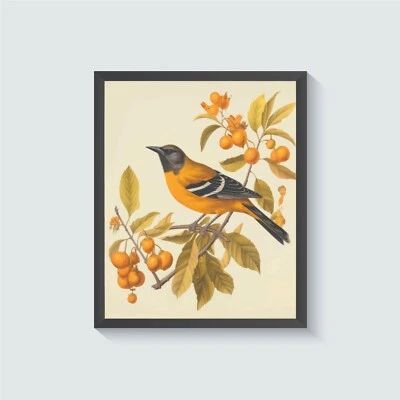 Pôster vintage com estampa de arte Oriole Bird pintura de arte de parede - Imagem 1 de 4