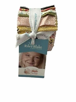 Joy in the Journey Petite Rolie Polie Riley Blake  2.5" Strips 18 Pieces Total - Image 1 of 4