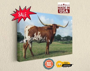 Texas Longhorn Farm Wall Art Canvas Print Fine Art Photography, Wall Decor - Picture 1 of 8