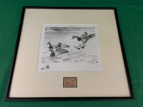 1946 Federal Duck Stamp Print #RW13 Redheads by Bob Hines with Remarque Cover