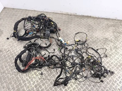 Volkswagen New Beetle 2009 RHD 1.6 Cablaggio Interno 1C0971050 Benzina 75kW - Imagem 1 de 4