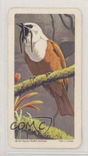 1964 Brooke Bond Red Rose Tropical Birds Tea American Blue Backs #34 9aj