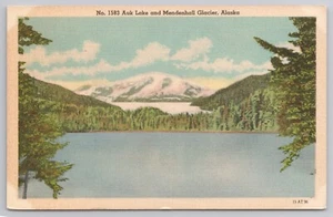 Vintage Auk Lake und Mendenhall Gletscher Alaska Postkarte unbesendet Leinen - Bild 1 von 2