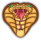 Snake Head Animal Car Bumper Sticker Decal  -  ''SIZES''