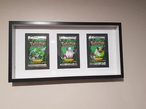 Pokemon Jungle Booster -Art Set - Display Frame - EMPTY - Picture 1 of 3