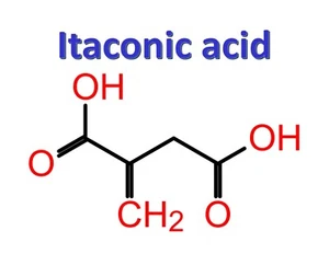 Itaconsäure, CAS 97-65-4 - Bild 1 von 1