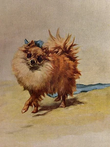 POMERANIAN CHARMING DOG GREETINGS NOTE CARD BEAUTIFUL LITTLE POM - Picture 1 of 1